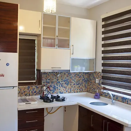 House For Rent Villa Sapanca