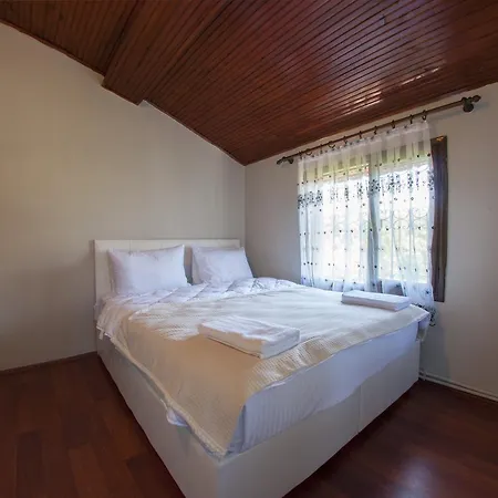 Villa House For Rent