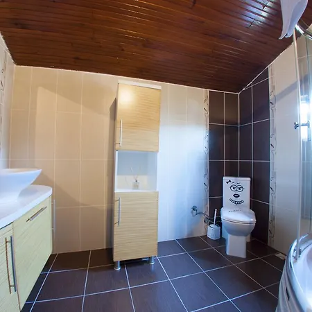 House For Rent * Sapanca