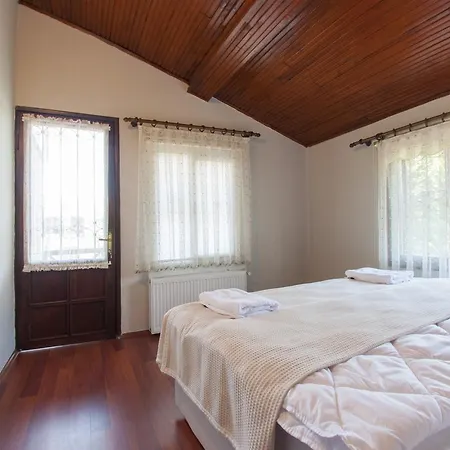 Villa House For Rent