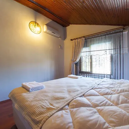 House For Rent Villa Sapanca